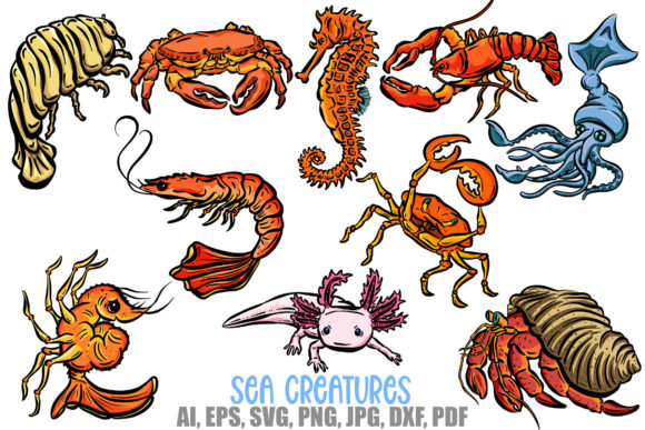Cartoon Sea Creatures: Crab, Shrimp & Squid Design Assets